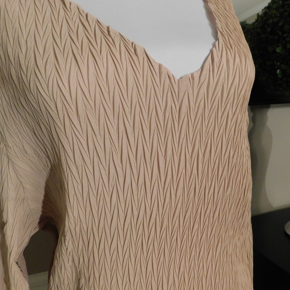 Taupe Flutter Cuff Blouse - 1X - BRAND NEW - Picture 7 of 8